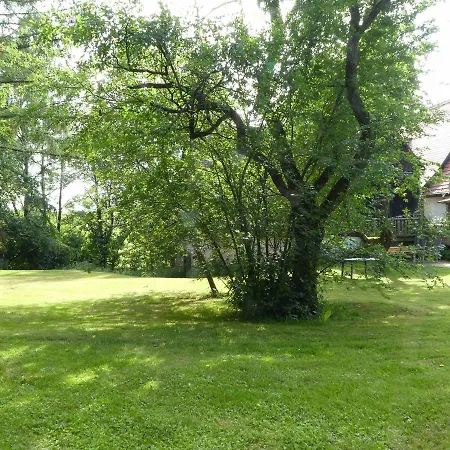 Ferienhaus Froschmuhle * دينكلسبهل